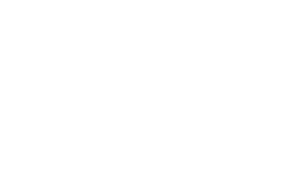Charlie Teo Foundation
